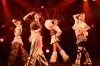 @ onefiveĥ@ onefive TOUR 2025 more than kawaiiɡӴ