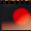ampelХɻ˾Ȥʤǥ롦󥰥REDץ꡼