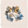 Wataru Fujiwaraͥ롦ӡȡSleep with Natureץ꡼
