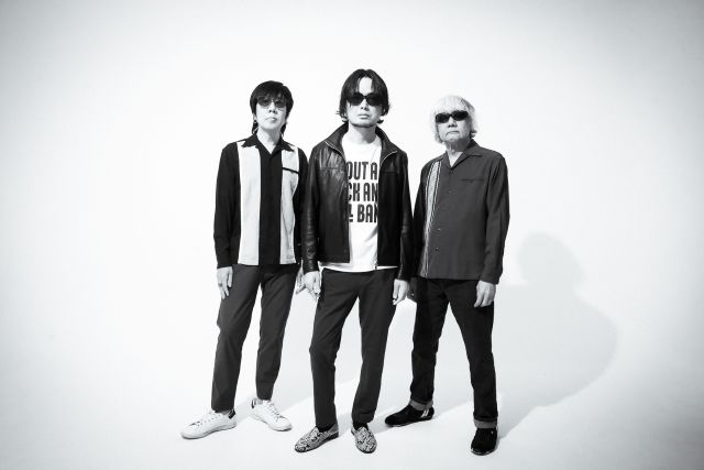 the pillows