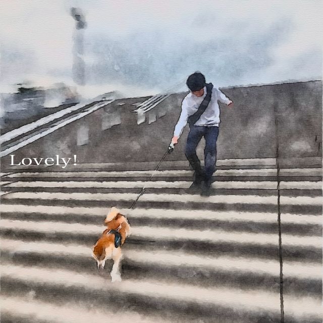 ɽ