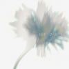 JO1ʡ֤Ҥ餯פƦǲٻλȡҡȡ碌οټΤ˷ꡡ񤭲