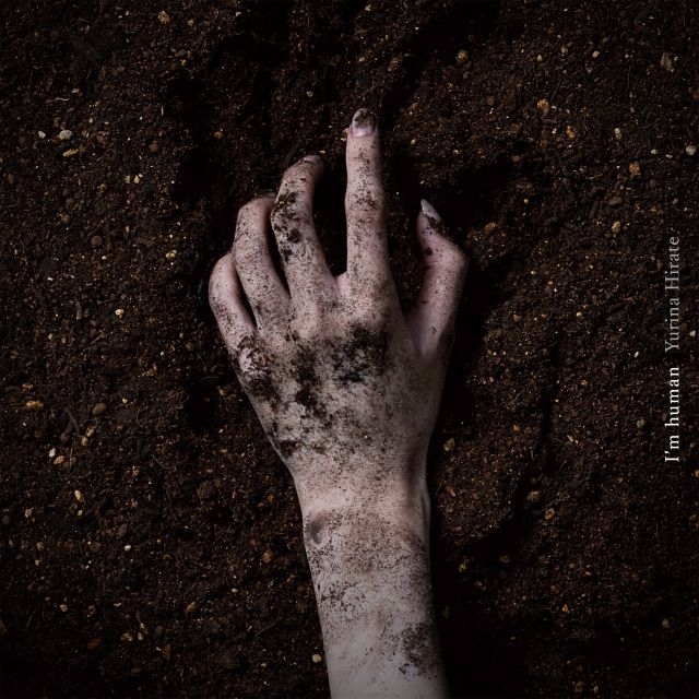 ɽ