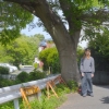 åѡϤcham˥塼󥰥⤫֡ۿ꡼