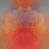 οMaaNa鶦󥰥֤Τ𤨡ۿ꡼MVKOHEI YOSHIIץǥ塼