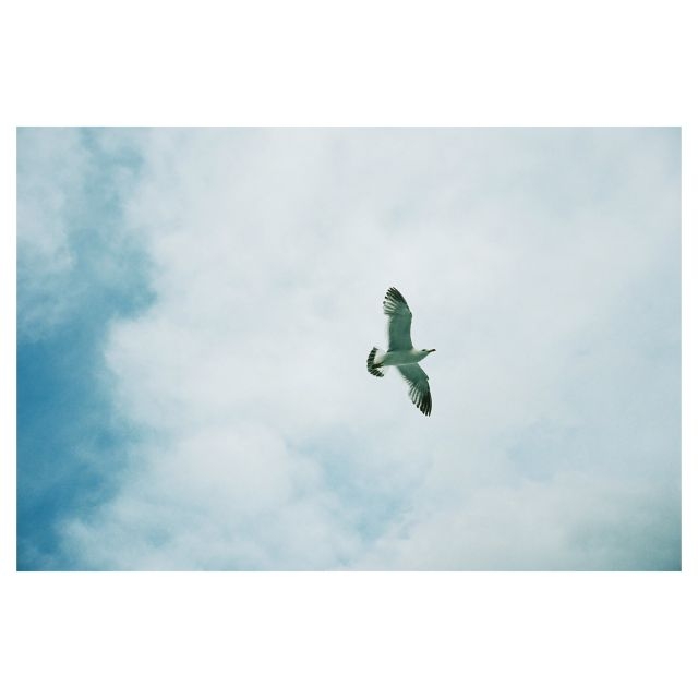 ����ɽ��