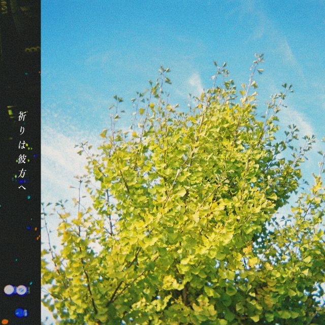 ����ɽ��