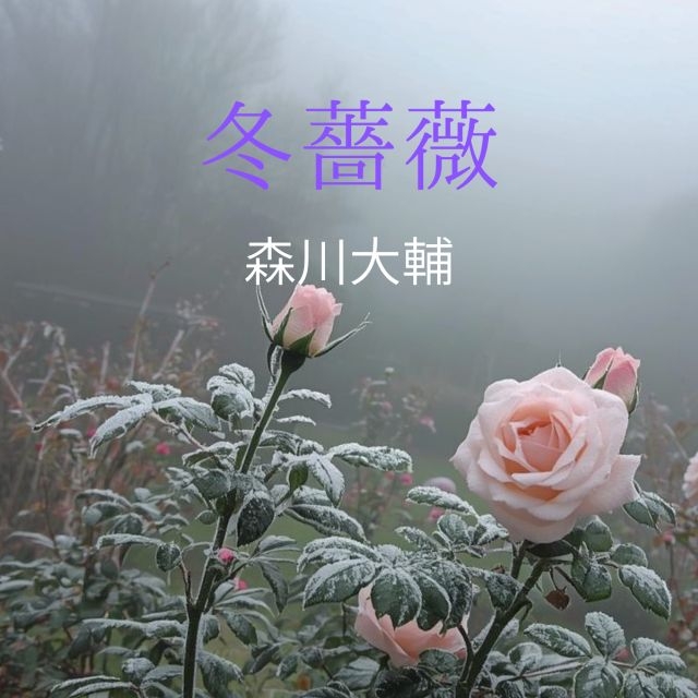 ����ɽ��