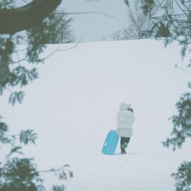 ����ɽ��