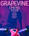 GRAPEVINE����GRAPEVINE SPRING TOUR����������¨�������������ɲø������