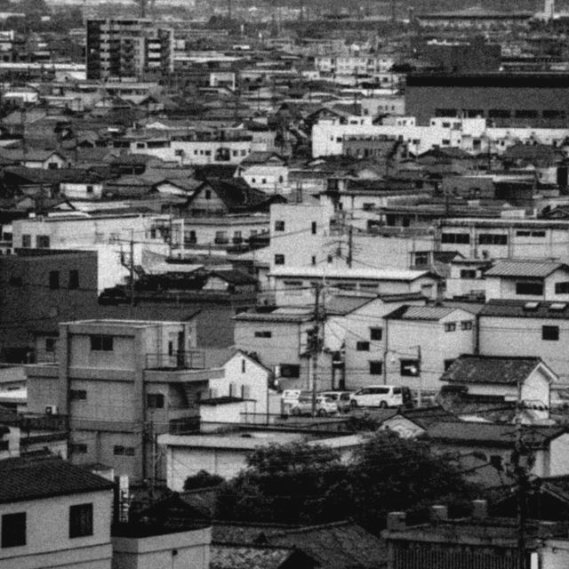 ����ɽ��