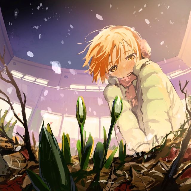 ����ɽ��