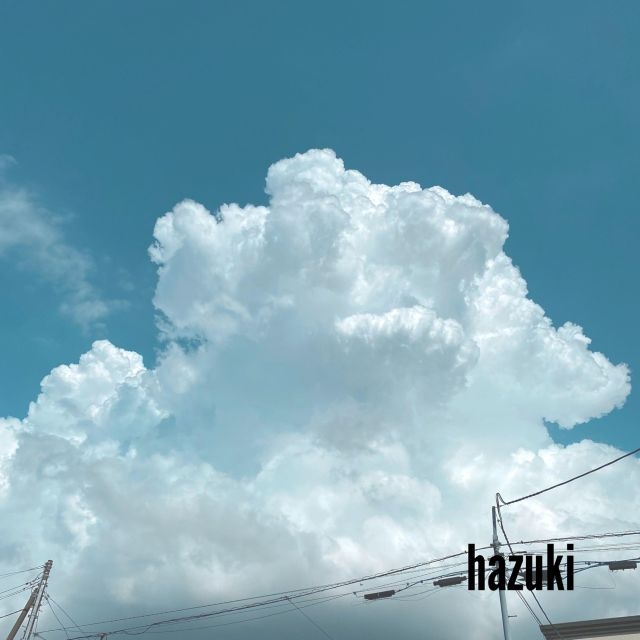 ����ɽ��