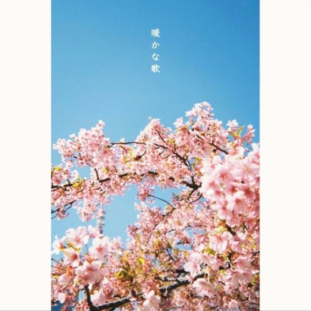 拡大表示