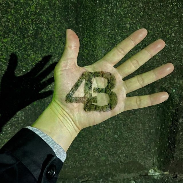 拡大表示