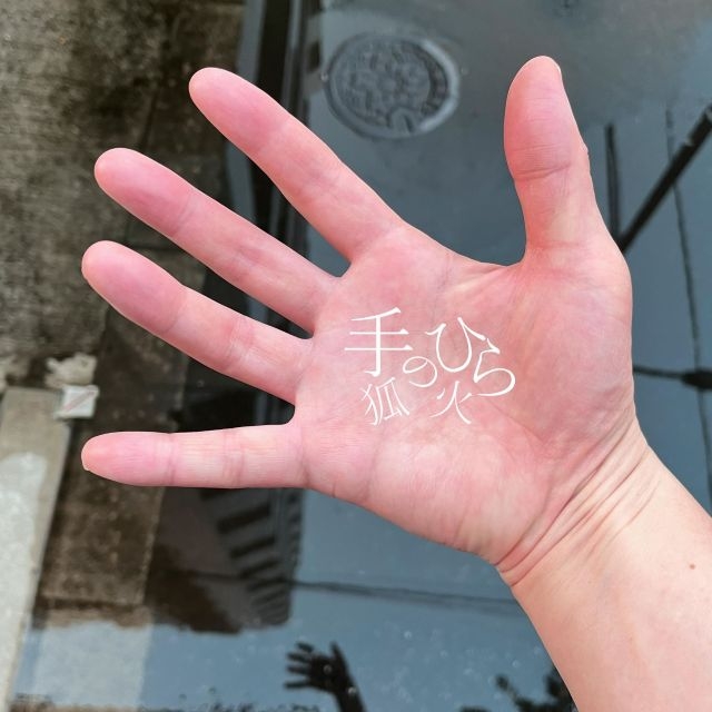 拡大表示