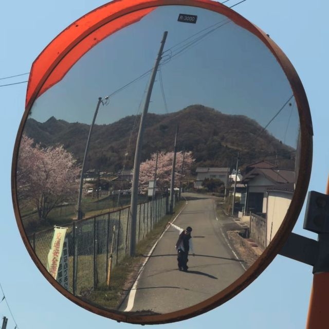 拡大表示