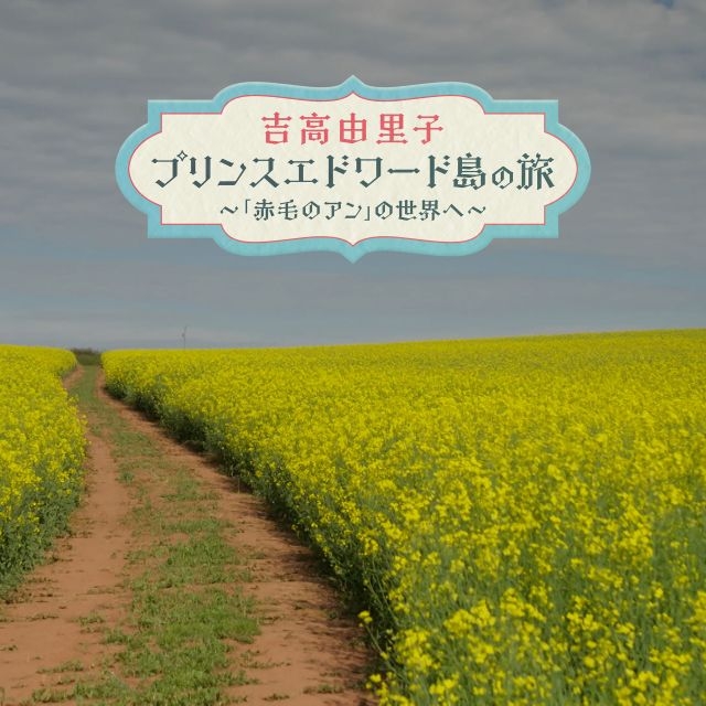 拡大表示
