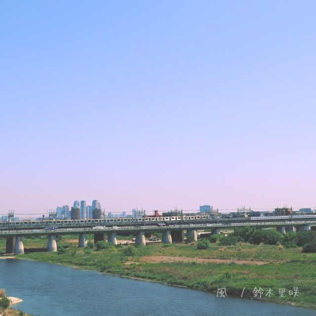 拡大表示