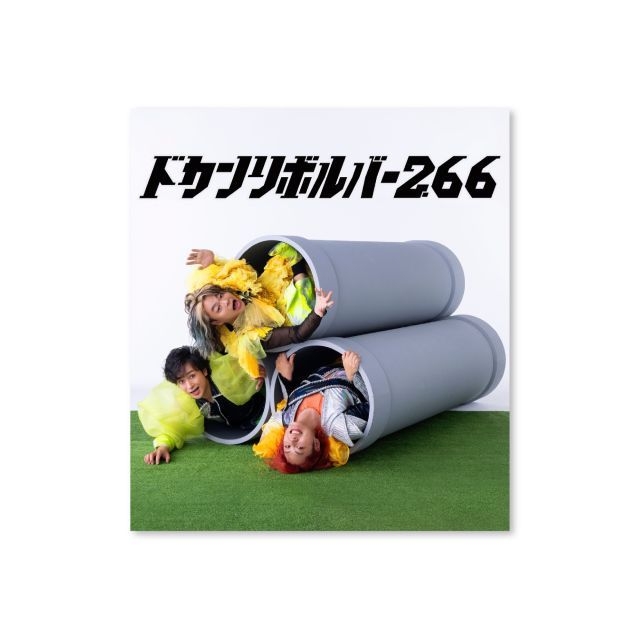 拡大表示