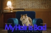 My Hair is Bad、ニュー・アルバム『cats』より新曲「青いソファの上で」のMV公開