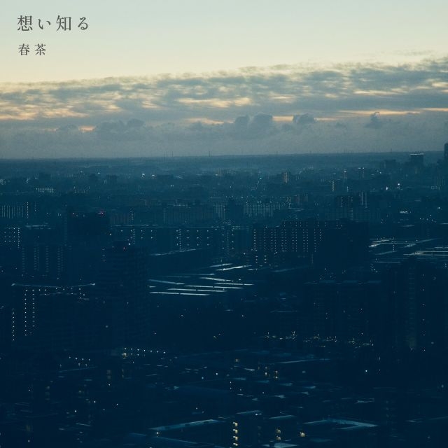 拡大表示