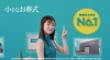 [CM]　「小さなお葬式」のCMに出演している女性は？