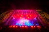 Ado、世界最大級の音楽フェス〈Lollapalooza 2026〉にAIRBNBステージのトリで初出演