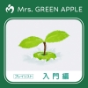 Mrs. GREEN APPLE、メンバー監修「Mrs. GREEN APPLE 入門編プレイリスト」公開