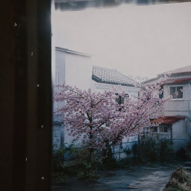 拡大表示