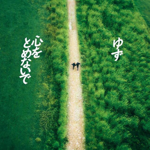 拡大表示