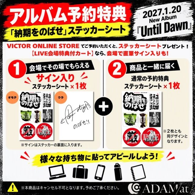 拡大表示