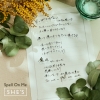 SHESإ֥ݡ餻Ҥǯ˻ҡ EDơޡSpell On Meۿ