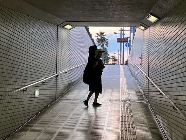 拡大表示