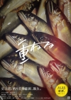 缫ȤܽΡɤαǲؽŤͤ11