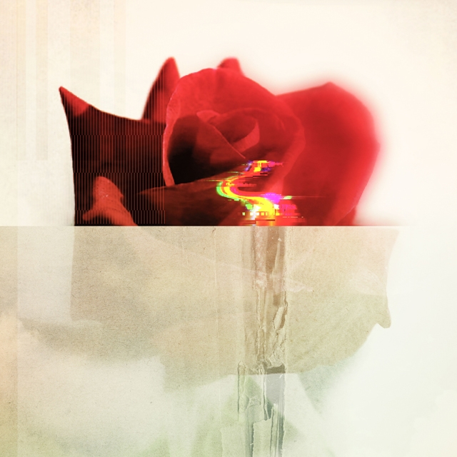 ɽ