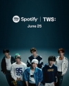 TWSFreestyleSpotifyѥեޥ󥹡ӥǥ