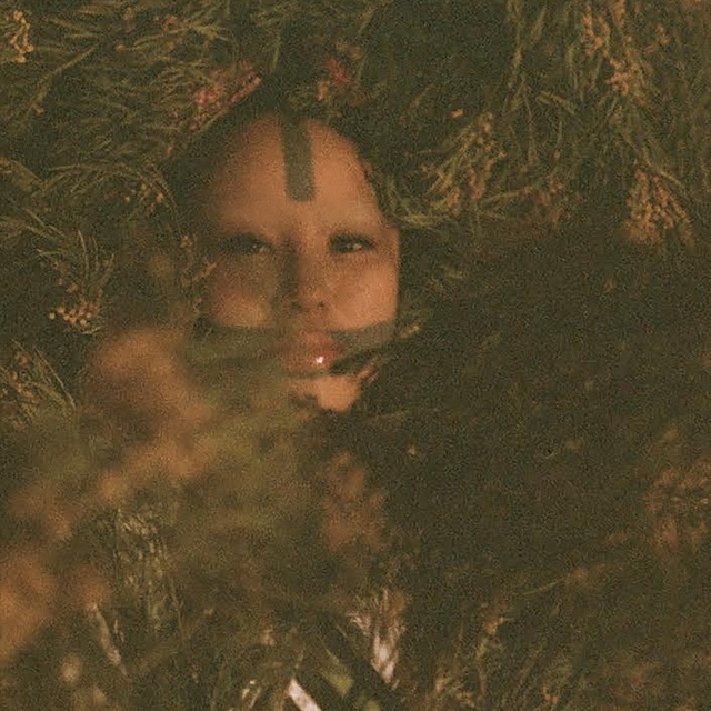 ɽ