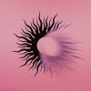 AFI̻12ܤΥХSilver Bleeds the Black Sunġ٤꡼