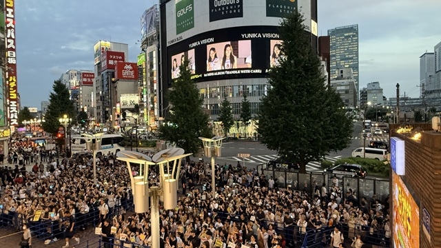 拡大表示