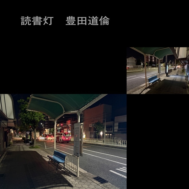 拡大表示
