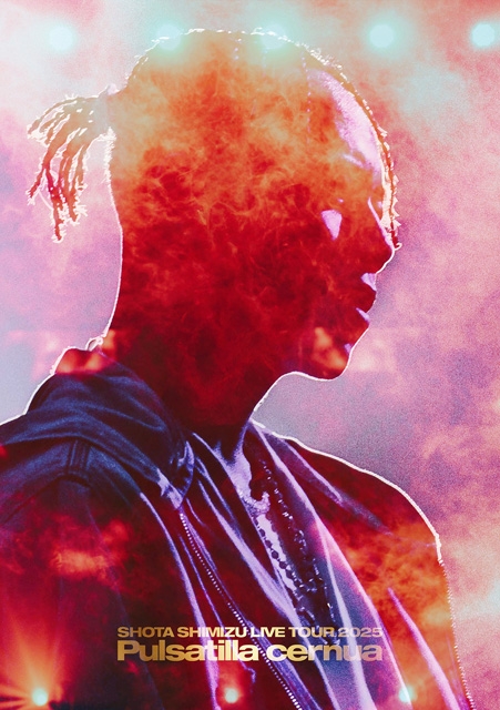 ����ɽ��