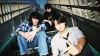 SABOTEMPLE、徳島の野外フェス〈EXCITING SUMMER in WAJIKI 2026〉出演決定
