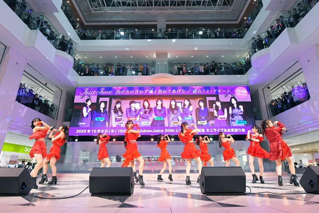 拡大表示
