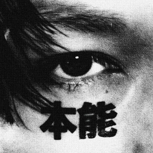 拡大表示