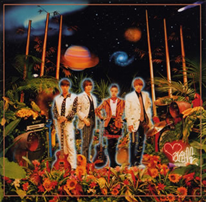 Vanillaページ ハイゲージタートル | wagona（ワゴナ） ｜【公式】通販mix