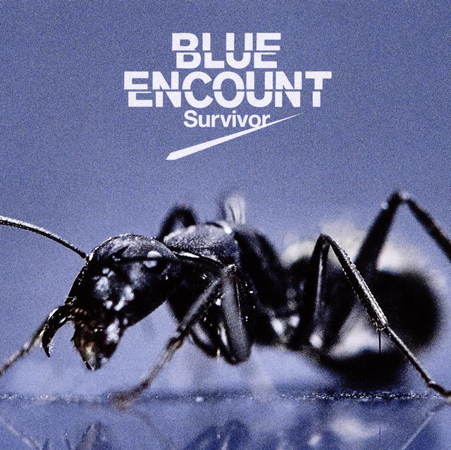 BLUE ENCOUNT / Survivor [CD+DVD] [限定]