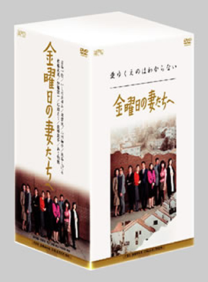 金曜日の妻たちへⅢ 恋に落ちて DVD〈7枚組〉レンタル使用済み