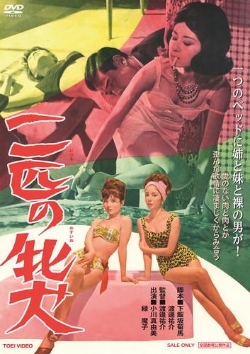 二匹の牝犬 [DVD] CDJournal