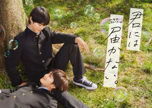 君には届かない。 DVD-BOX〈3枚組〉 [DVD] - CDJournal